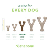 Benebone Bacon Wishbone