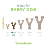 Benebone Bacon Wishbone