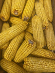 Corn Cobs