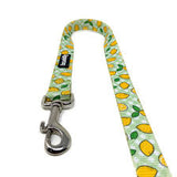 Bcuddly Printed Leash