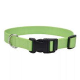 Splash of Colour Collar 3/8 X 8-12