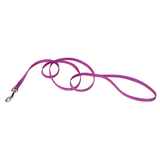 Nylon Dog Leash 3/8 X 6