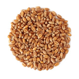 Whole Wheat
