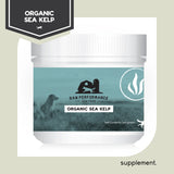 Raw Performance Organic Sea Kelp Supplement