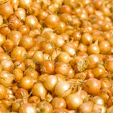 Onion Sets for Planting