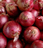 Onion Sets for Planting