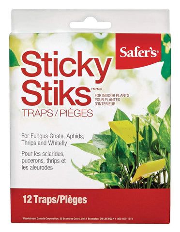 Sticky Sticks- 12 pack