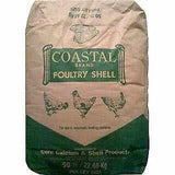 Oyster Shell