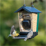 Smart Camera Squirrel-Resistant Bird Feeder