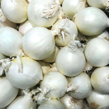 Onion Sets for Planting