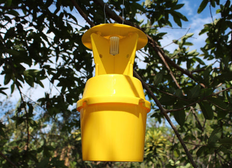 Reusable High Impact Japanese Beetle Trap with Lure