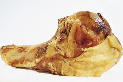 Beef Humerous Bone