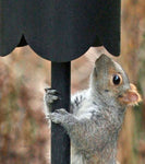 SB1D - Dome Top Squirrel Baffle / Squirrel Guard