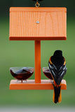 Going Green Oriole Feeder With Jelly Dishes