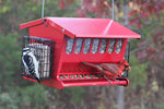 Seeds 'N More Bird Feeder