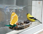 Window Suction Cup Mixed Treat Bird Feeder