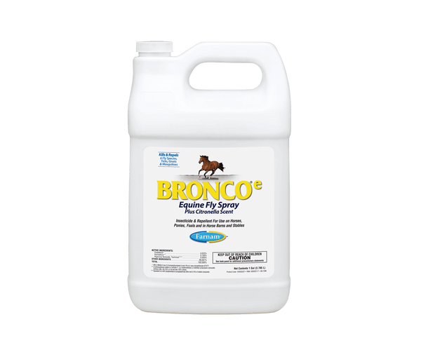 Bronco fly spray for dogs best sale