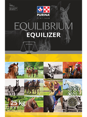 Equilibrium Equilizer