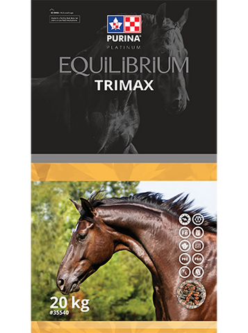 Equilibrium Trimax