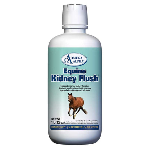 Equine Kidney Flush