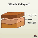 Collagen Stick Treat
