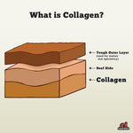 Puffed Collagen Ring