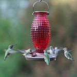 Vintage Ruby Hobnail Humming Bird Feeder