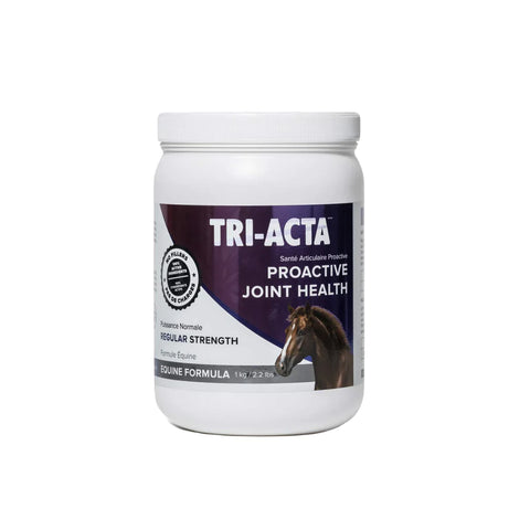 Equine Tri-Acta Proactive Joint Health - Regular Strength