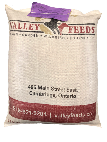 Drought Tolerant Grass seed