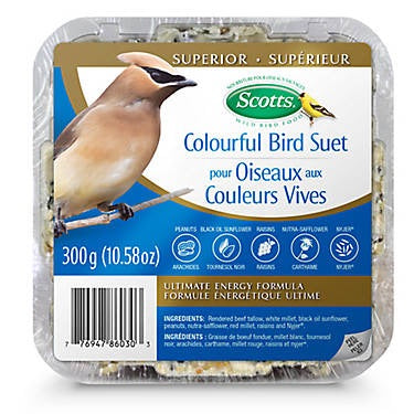 Scotts® Colourful Bird Suet Wild Bird Food 300g