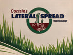 Drought Tolerant Grass seed