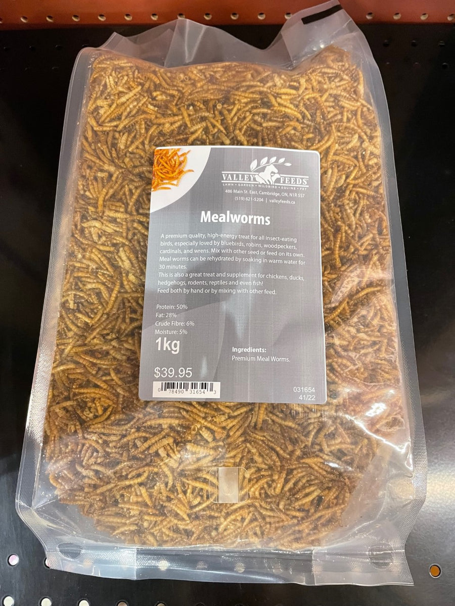 Mealworms 1kg Valley Feeds