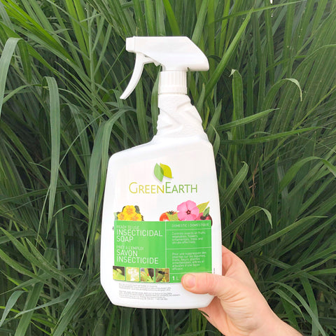 Green Earth Insecticidal Soap