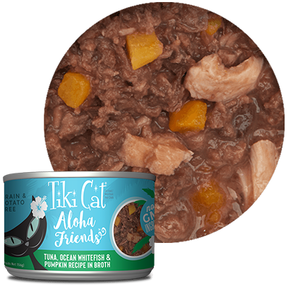 Tiki 2024 cat tuna