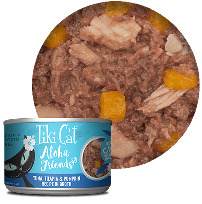 Tiki cat aloha deals friends