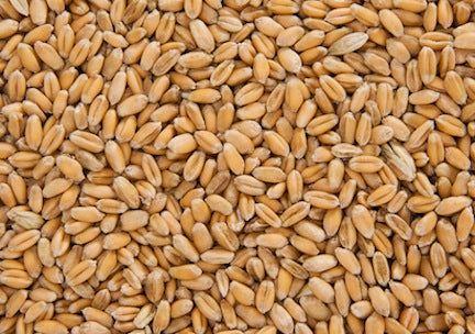 Whole Wheat 25kg